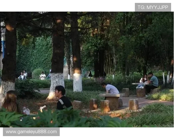 letou乐投新用户注册礼包，开启你的专属幸运之旅