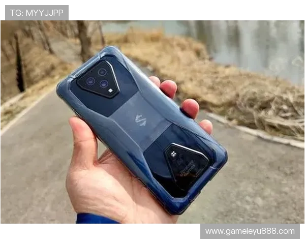 乐鱼官网登录入口手机版支持多设备登录保证游戏体验畅通无阻