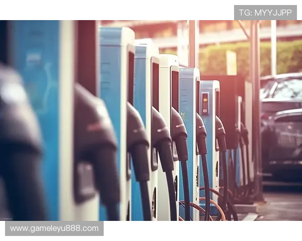 乐鱼平台入口登录技巧大全，轻松应对各种登录难题提升体验