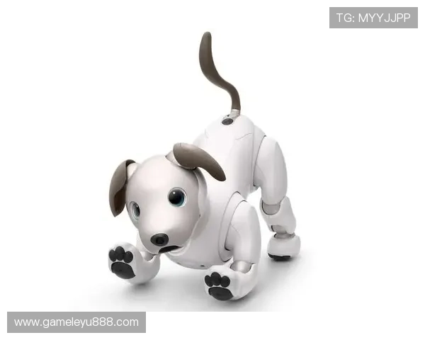 乐鱼电子机器人官网用户评价与案例分享帮助新客户选择适合产品 乐鱼电子机器人官网用户评价与案例分享帮助新客户选择适合产品