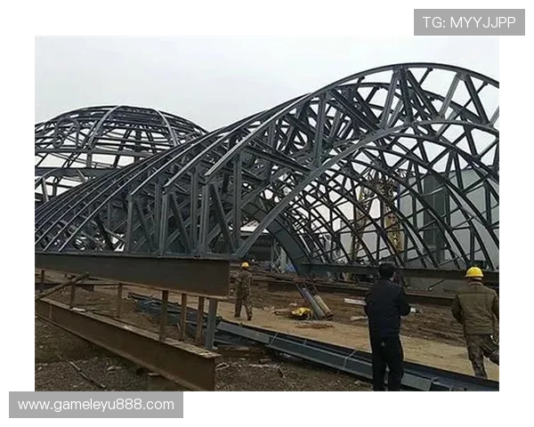 乐鱼注册网页版登录常见问题及解决方法全面解析