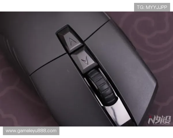 乐鱼网官网安全登录指南，详细步骤帮助玩家顺利进入游戏世界体验精彩内容