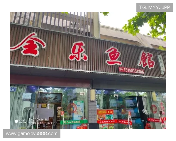 乐鱼网站登录不了可能涉及的网络问题及解决办法，帮助用户稳定登录体验