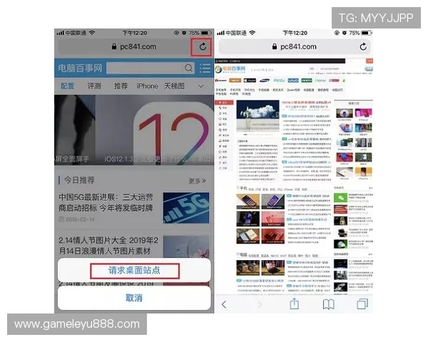 乐鱼官方网站无法访问的原因分析及快速恢复访问的实用技巧 乐鱼官方网站无法访问的原因分析及快速恢复访问的实用技巧